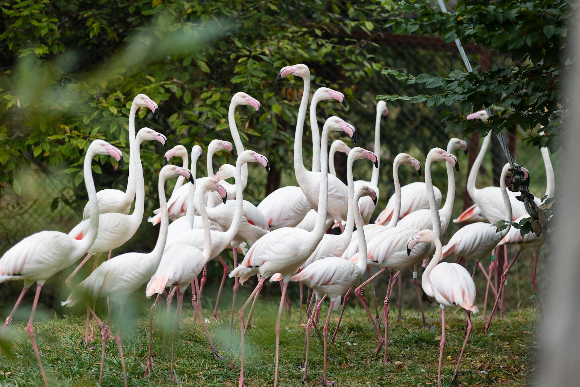 Mapa infrastruktury usługowej w Nowym Targu, obejmująca sklepy, restauracje, apteki i inne usługi.